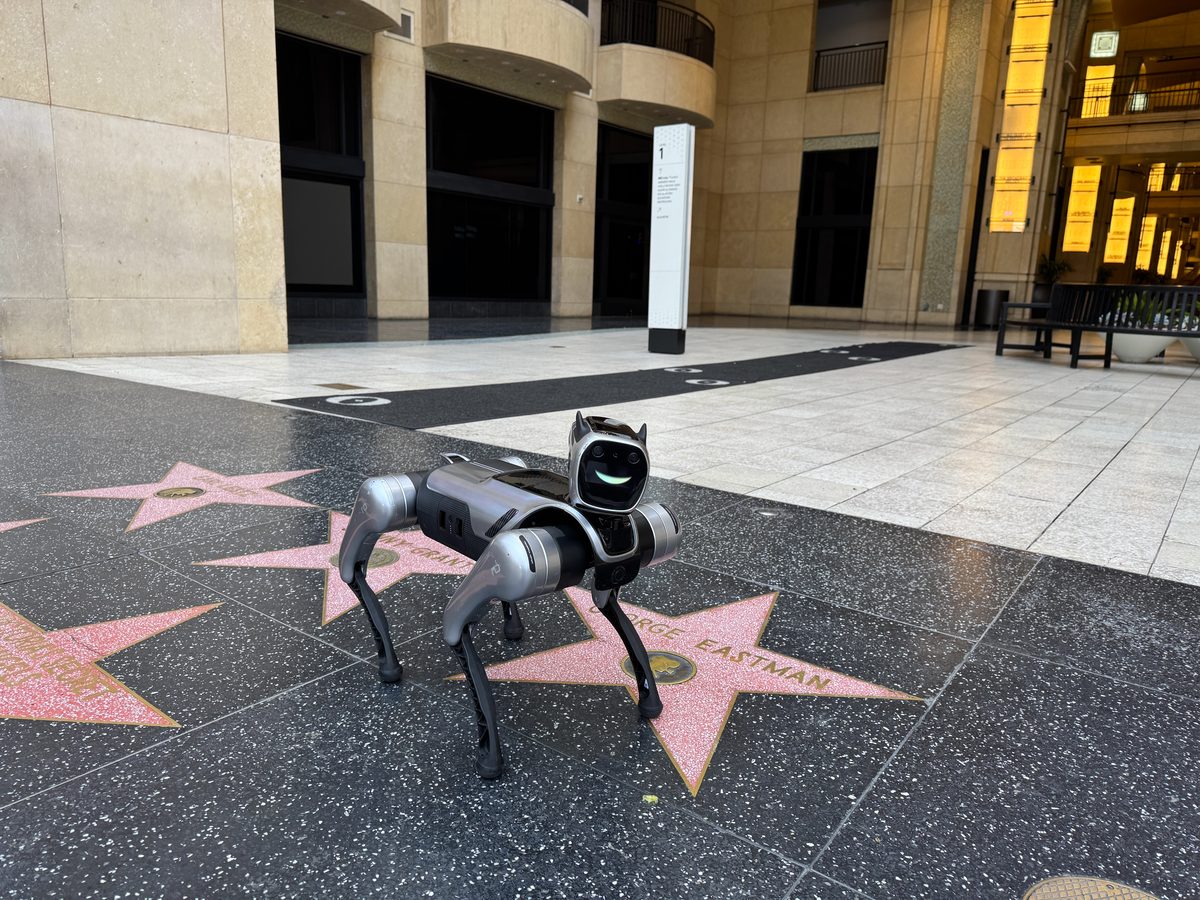 Party robot rentals in Las Vegas — Alex Dog Pro robot dog at a brand activation