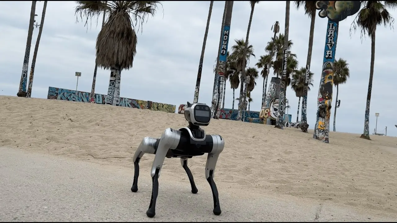 Alex Dog Pro